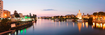 seville-radiation-congress