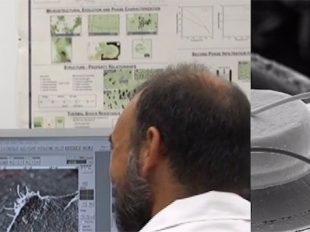 scanning electron microscope SEM FIB