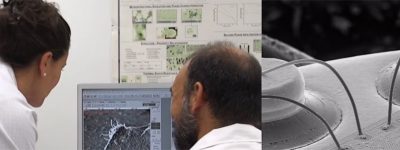 scanning electron microscope SEM FIB