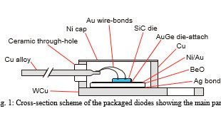 Cross-section scheme of the packaged diodes showing the main parts
