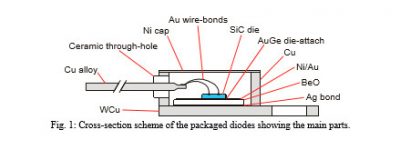 Cross-section scheme of the packaged diodes showing the main parts