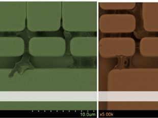 plasma cleaning electronic components