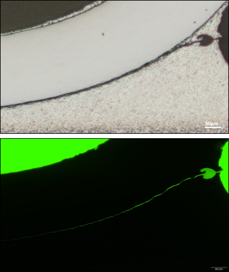 Fluorescence Microscopy