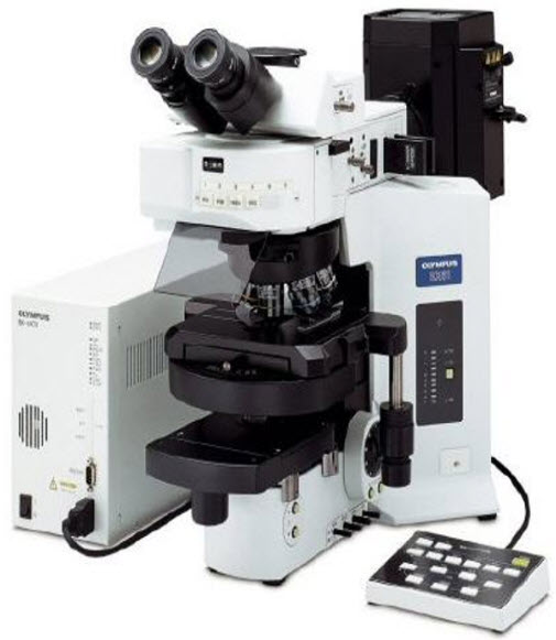 Fluorescence Microscopy