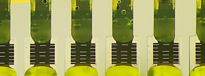 Evaluation of Electronic Assemblies