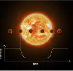PLAnetary Transits and Oscillations of stars PLATO